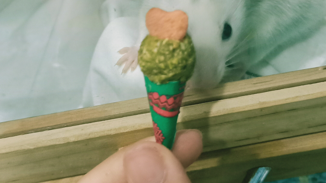 用麦当劳的甜筒做小冰淇淋给仓鼠吃